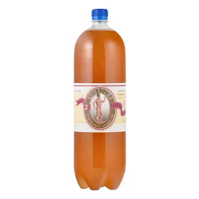 STEVIKOM - Kombucha fekete, 2l