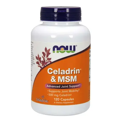 NOW® Foods NOW Celadrin & MSM 500 mg, 120 kapszula