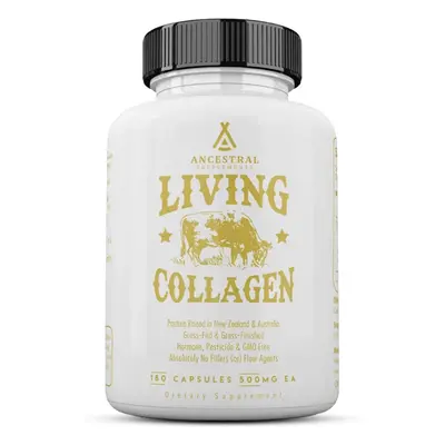 Ancestral Supplements Ancestral Supplements, Grass-fed Beef Collagen, fűvel táplált marhahús ko