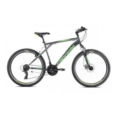 CAPRIOLO MTB ADRENALIN 26"/21HT SILVER/GREEN 919430-16