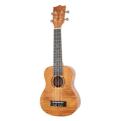 Tanglewood TWT 5