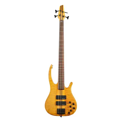 Grebeň 2008 Custom Bass 4 NT