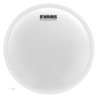 Evans 10" UV1 Coated