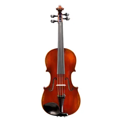 Eastman Amsterdam Atelier 1 Series 4/4 Violin