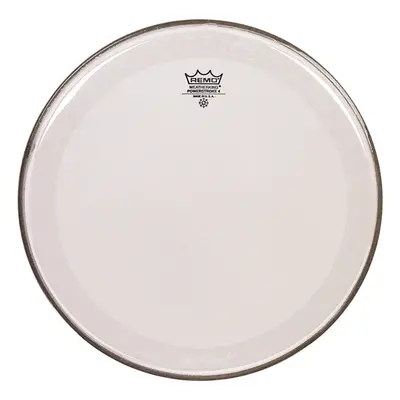 Remo 22" PowerStroke 4 Clear