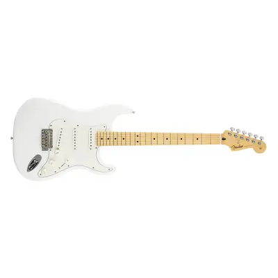 Fender Player Stratocaster MN PWT