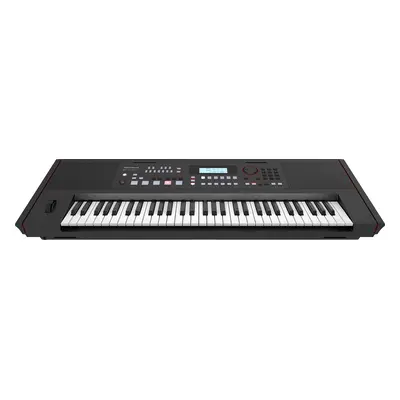 Roland E-X50 (kicsomagolt)