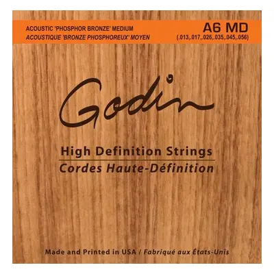 Godin Strings Acoustic Guitar MD