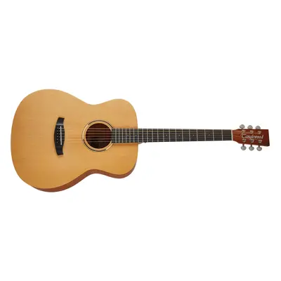 Tanglewood TR 3