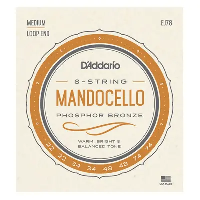 D'Addario EJ78