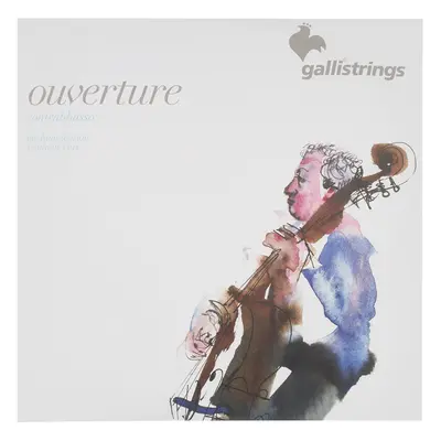 Galli OV81-S Overture Bass SYC 3/4