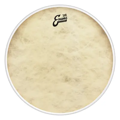 Evans 22" Calftone