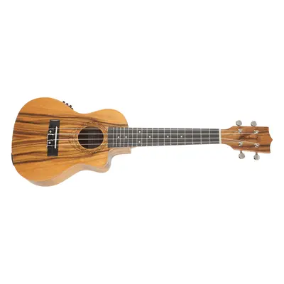 Tanglewood TWT 13 E (kicsomagolt)