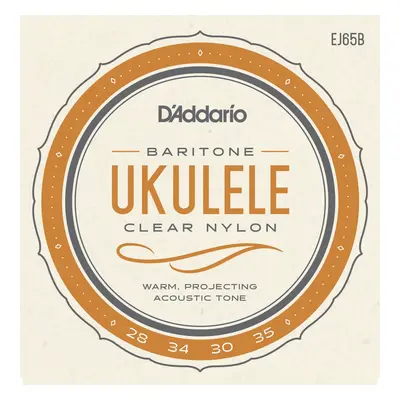 D'Addario EJ65B