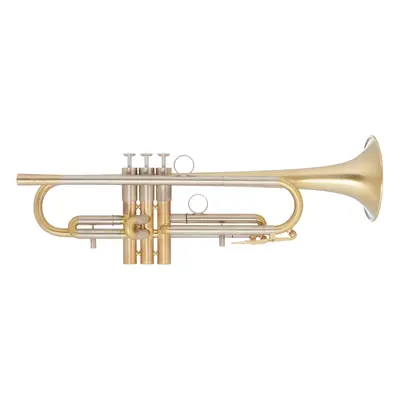 VanLaar Oiram light I Raw Brass