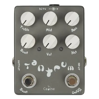 Caline CP-15 Heavy Metal