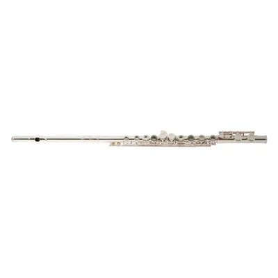 Bacio Instruments BFL-100