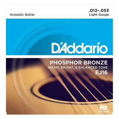 D'Addario EJ16