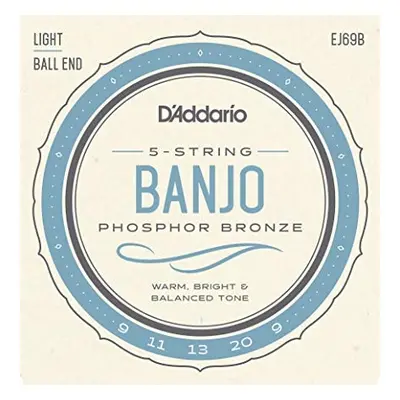 D'Addario EJ69B