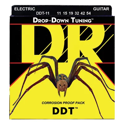 DR DDT 11/54