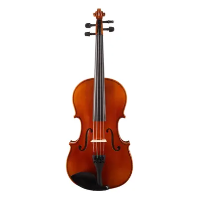 Bacio Instruments AA50 Concert Viola 16