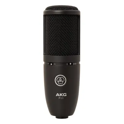 AKG P120