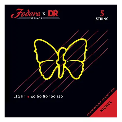 DR Fodera Stainless Steel 5 Light 40120