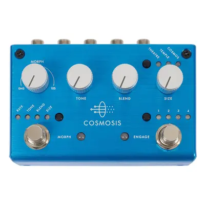 Pigtronix COSMOSIS