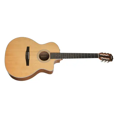 Taylor 214ce-N