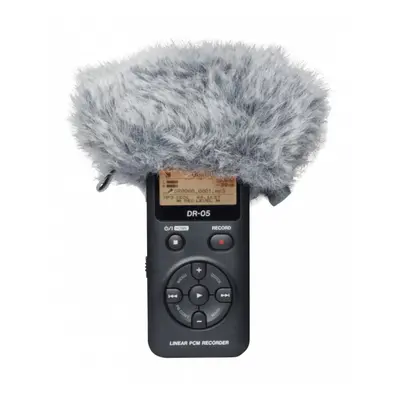 Tascam WS-11