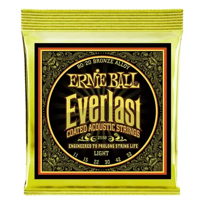 Ernie Ball 2558 Everlast 80/20 Bronze Light