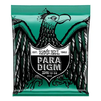 Ernie Ball 2026 Paradigm Not Even Slinky