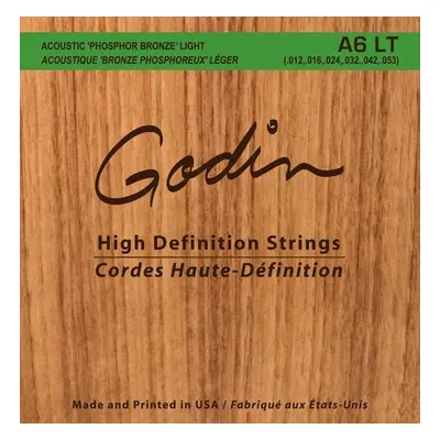 Godin Strings Acoustic Guitar LT