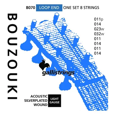 Galli B070 8-String Silverplated