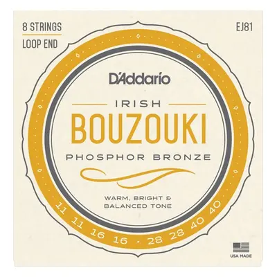 D'Addario EJ81