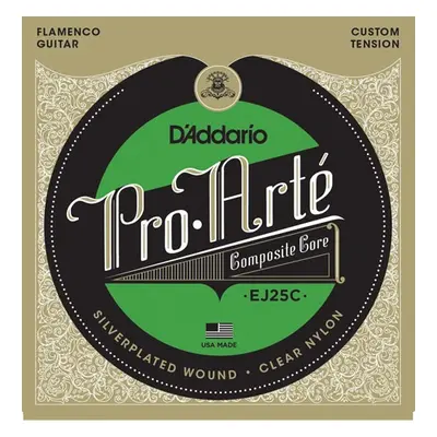 D'Addario EJ25C