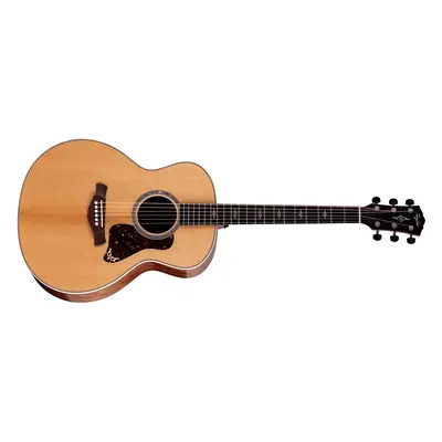 Taylor Gold Label 814e