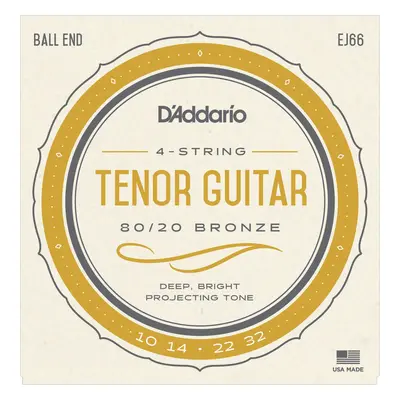 D'Addario EJ66