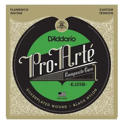 D'Addario EJ25B