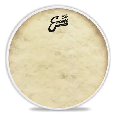 Evans 12" Calftone