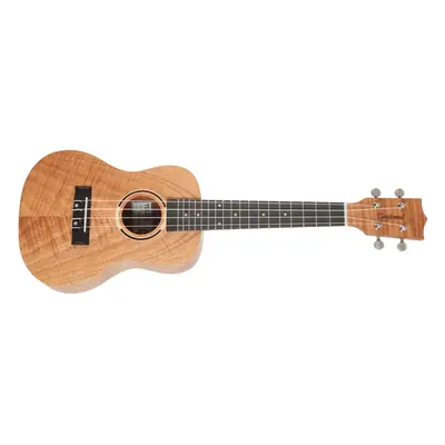 Tanglewood TWT 6