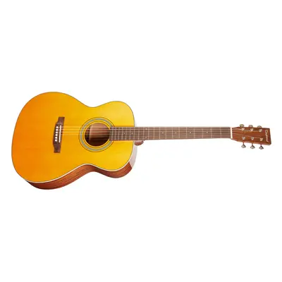 Tanglewood TW40 O AN E