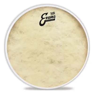 Evans 14" Calftone