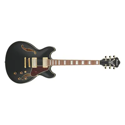 Ibanez AS73G BLK