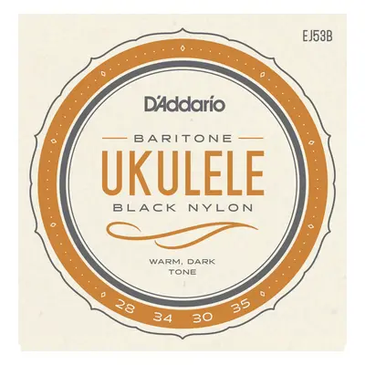 D'Addario EJ53B