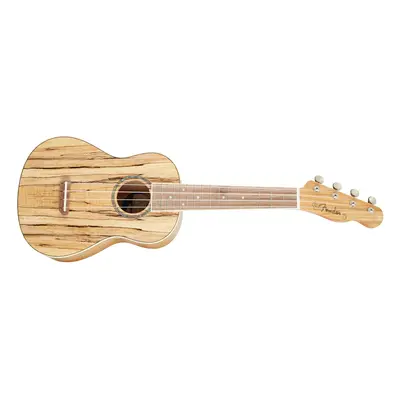 Fender Zuma Exotic Concert Ukulele WN SM