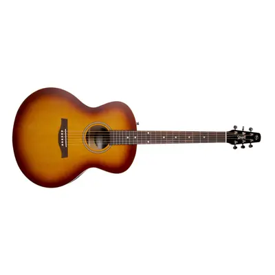 Seagull Entourage Mini Jumbo Rustic Burst