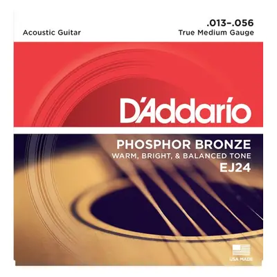 D'Addario EJ24