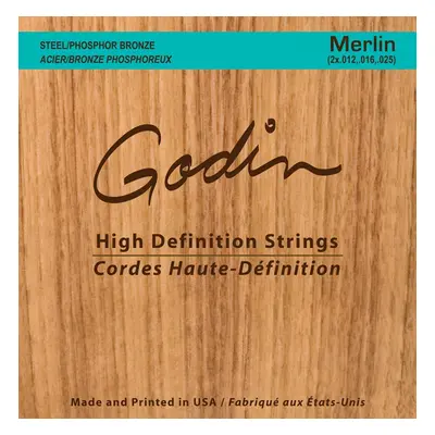 Godin Merlin Strings