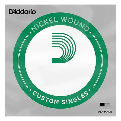 D'Addario NW018